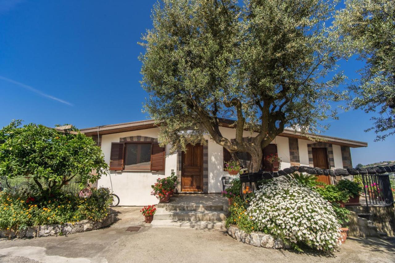 Villa Mattia In The Land Of Sirens Sant'Agata sui due Golfi Exterior photo